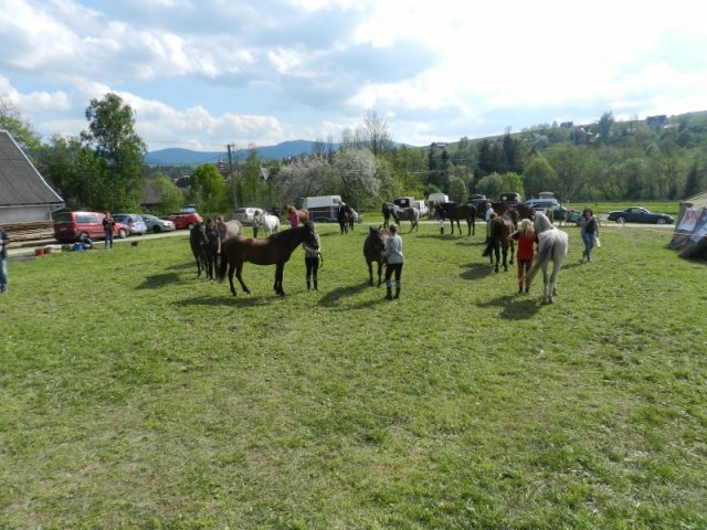 Rajd Mszana Górna 2015